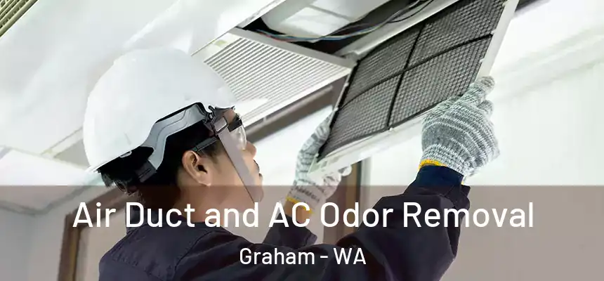 Air Duct and AC Odor Removal Graham - WA