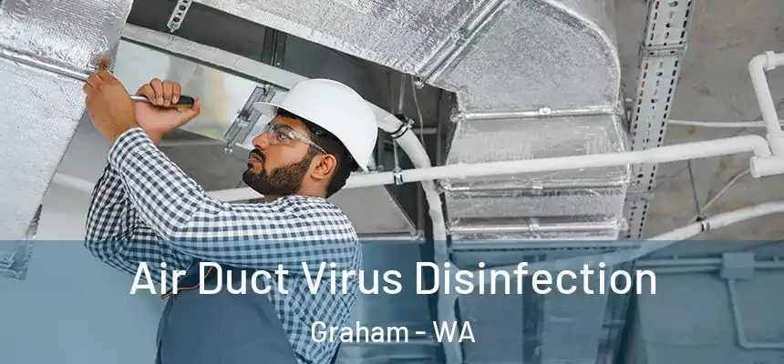 Air Duct Virus Disinfection Graham - WA