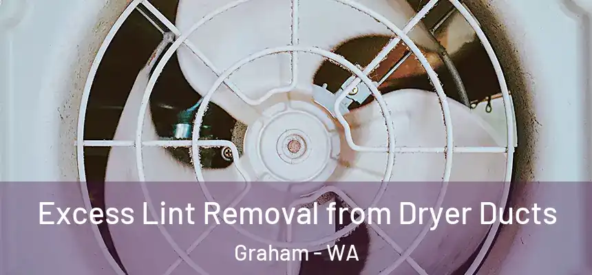  Excess Lint Removal from Dryer Ducts Graham - WA