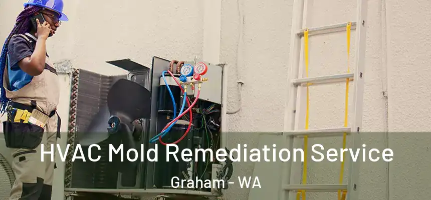 HVAC Mold Remediation Service Graham - WA