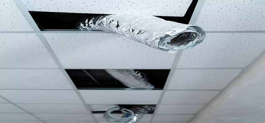 Affordable HVAC Sanitizing After Pest Removal in Graham