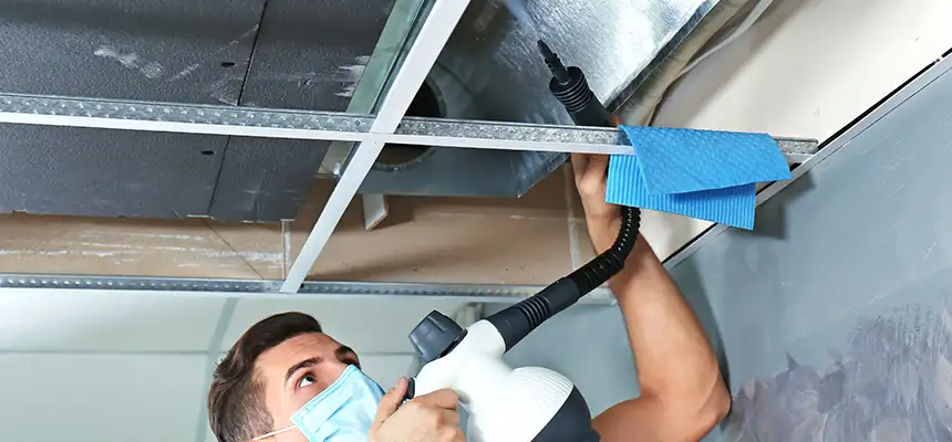 Our Air Duct Rodent Removal Services in Graham, WA
