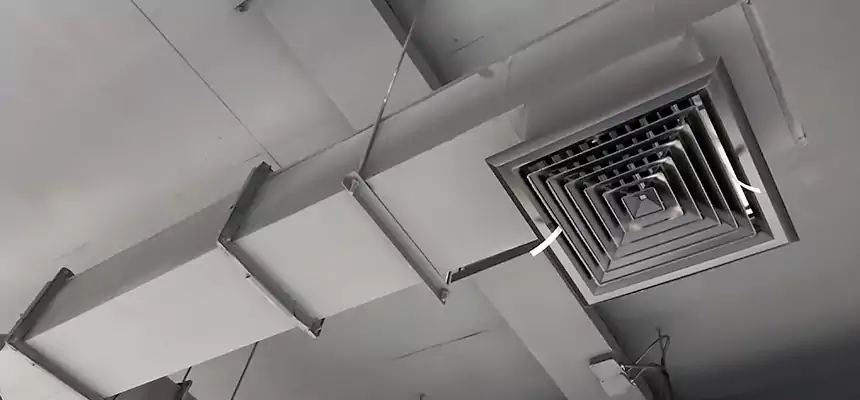 Our Rodent Droppings In Vents Services in Graham, WA