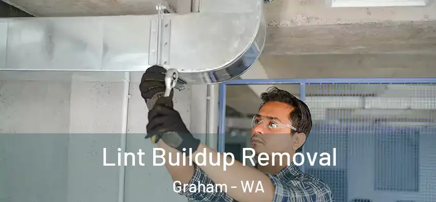  Lint Buildup Removal Graham - WA