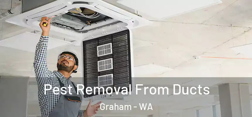  Pest Removal From Ducts Graham - WA