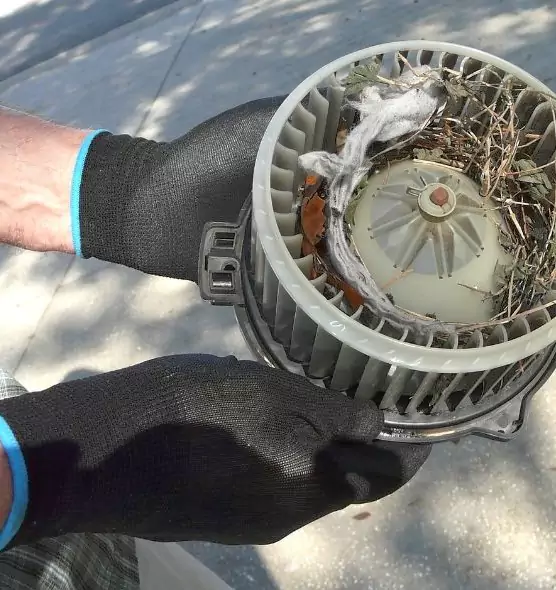 About Air Duct Mice Removal in Graham, WA