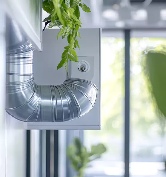 Professional Eco-Safe Dryer Vent Cleaning in Graham, WA