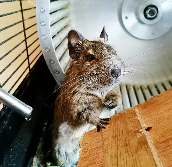 Why Homeowners & Businesses Trust Us Graham, WA