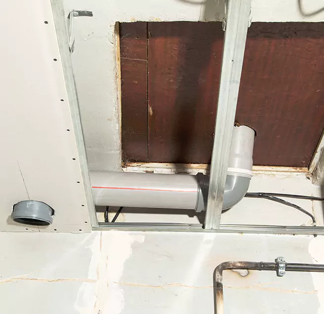 Why Homeowners & Businesses Trust Us in Graham, WA?